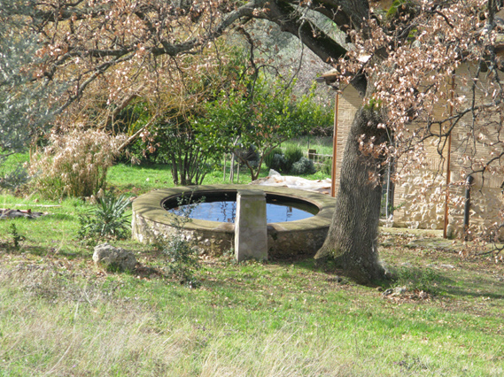 Fontanili del Lazio